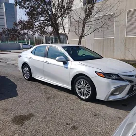 Toyota Camry 2020