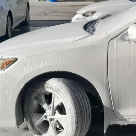 disga palta cemry 16lyk