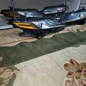 Fara Amerikanka Morda xse