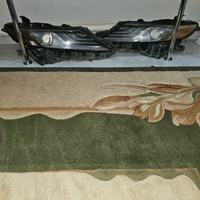 Fara Xse morda diotly gasly