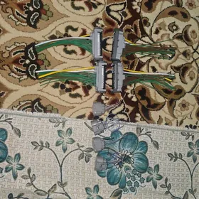 Steykir Camry haliji Americank