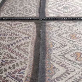 Keçe görnüş kän