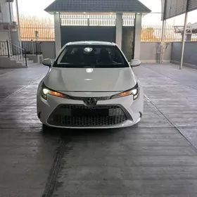 Toyota Corolla 2020