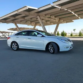 Hyundai Sonata 2010