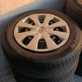 15lik diska pakriska