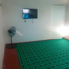 Änew arenda kwartira