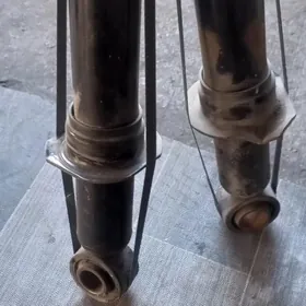 karolla amelsisatyr izi