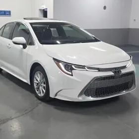 Toyota Corolla 2022
