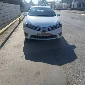 fara kapot krelo bamper