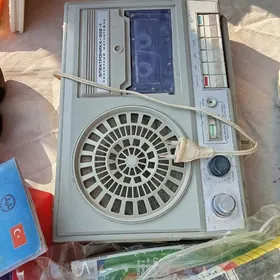 Елекдроника 302