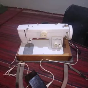 тикин маш чайка