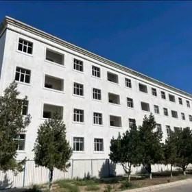 Anew Pol Elitka 4 kom