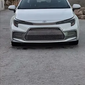 Toyota Corolla 2019