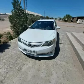 Toyota Camry 2013