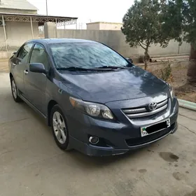 Toyota Corolla 2010