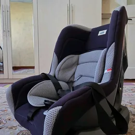 chaga sideniyasy awtoulagynky