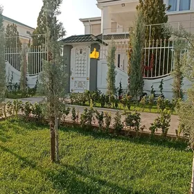 Cyzgy Kottez Full Jay Balkonly