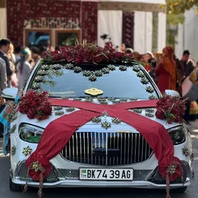 Mers Toy Bezegler we masyn toy hyzmaty howly podyezd bezeg Mersedes caga jywoy gül