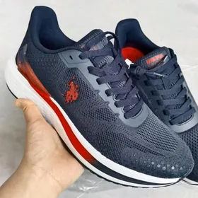 USPA Polo Krasowka Original