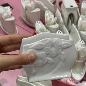 Salfetnisa ve duzburc goylyan