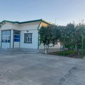 Taze zaman paln 12 sotoh 3 kom