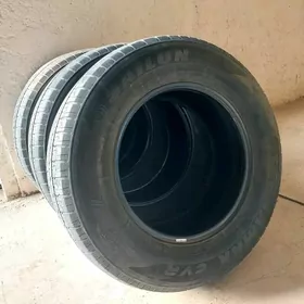 SAILUN pokriska prado