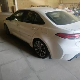 Toyota Corolla 2020