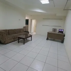 Arenda MIR 8 PADWAL kw