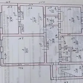 Elitka kwartira satlyk