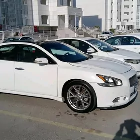 Nissan Maxima 2010