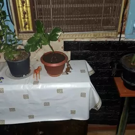 кондиционер