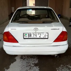 Toyota Corolla 1995