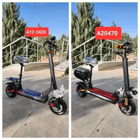 TIGIR SAMAKAT MASYN HADINOK