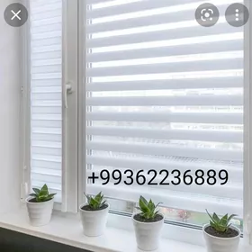 ŽALÝUZ JALYUZ ZALUZ ЖАЛЮЗ