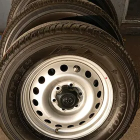 17 lik diska pakriska haylyks