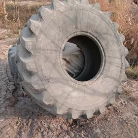 SATLYK ULY TIGIRLER 2SANY