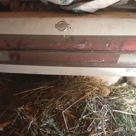 Nissan cefiro yzky bagaj