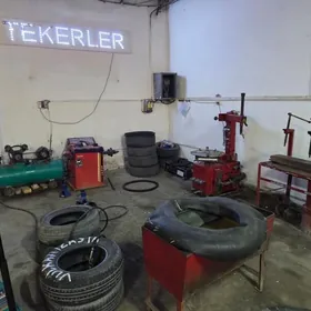 таярр ищщ вылказасияя