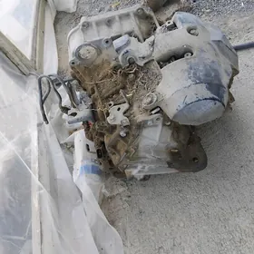 Karopka 2.4 okuzkelle