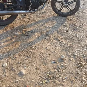 Fekon FK200-14G 2022