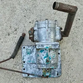 Enşa, tisgi, zapjas