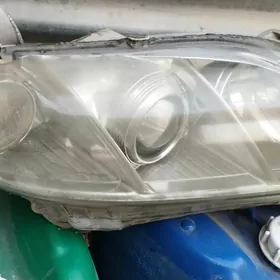 öküz çyra amerkanka 2007