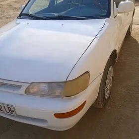 Toyota Corolla 1993
