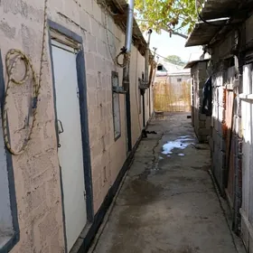 kwartirant wermŷanka adamgerek