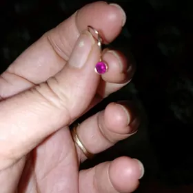 гызыл сырга чага