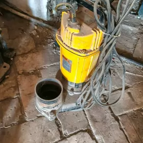 nasos yanan zapcast ucin