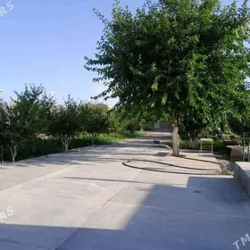 Satlyk magtymguly 8sotuh 2kom