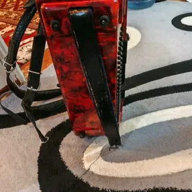 Akkordeon royal standart