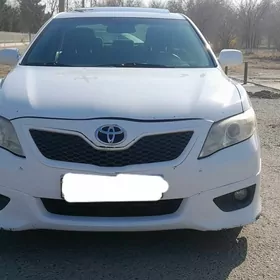 Toyota Camry 2010