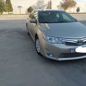 Toyota Camry 2013